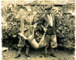 LuigiPoloniaVERT/Luigi53.jpg